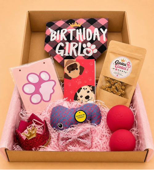 Guau Guau Birthday Box